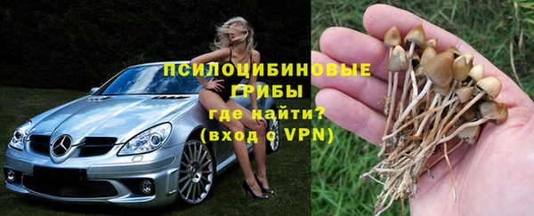 шишки Алзамай