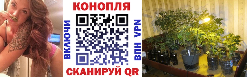 купить закладку  darknet клад  Бошки марихуана тримм  Ишимбай 